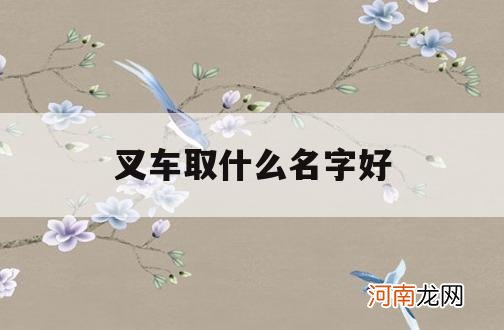 叉车取什么名字好_叉车的别名