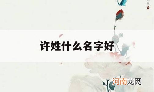 许姓什么名字好_许姓取什么名字好