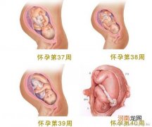 孕晚期胎儿脸朝哪啊