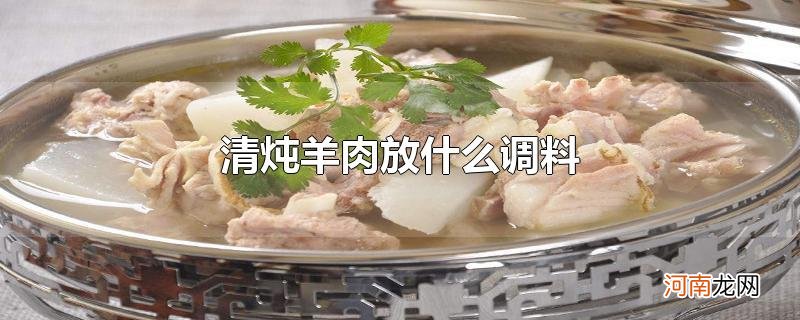 清炖羊肉放什么调料