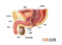 前列腺增生的症状怎么治疗