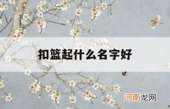 扣篮起什么名字好_怎么起名