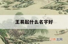 王易起什么名字好_王不易名字