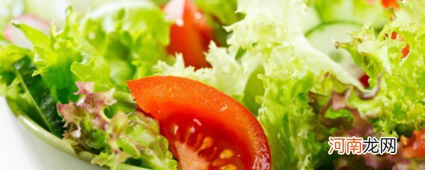 蔬菜色拉用的什么蔬菜 蔬菜色拉用的哪些蔬菜