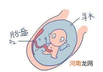 孕8个月羊水少怎么补