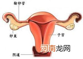 输卵管不通畅是不孕症的主因