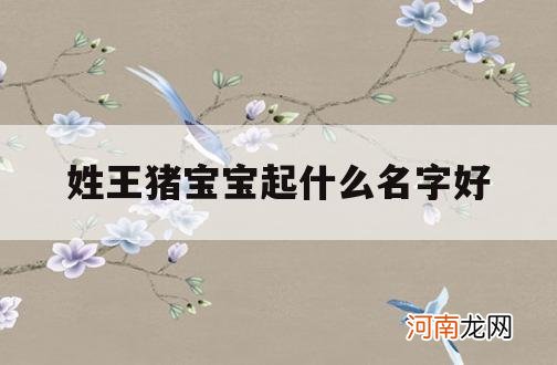 姓王猪宝宝起什么名字好_姓王的猪宝宝男取名字2019