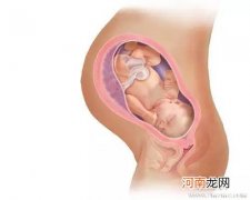 孕晚期胎儿多久入盆