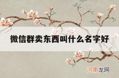 微信群卖东西叫什么名字好_卖东西微信群名字叫什么好听