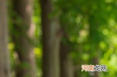 宝宝小青春期怎么判断