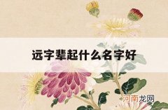 远字辈起什么名字好_远字辈取什么名字好听