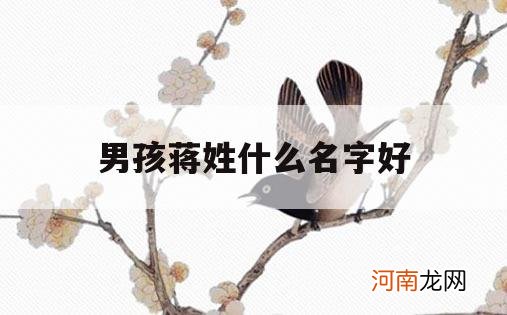 男孩蒋姓什么名字好_男孩子姓蒋好听的名字