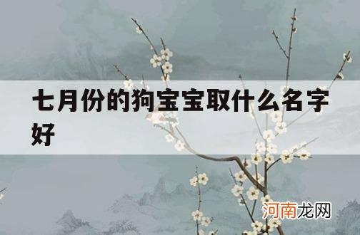 七月份的狗宝宝取什么名字好_适合七月份出生宝宝的名字