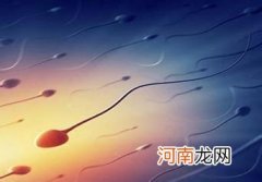 “花样美男”容易导致无精子