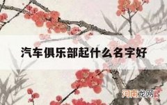 汽车俱乐部起什么名字好_车队俱乐部取名