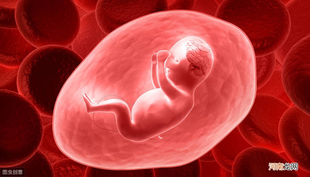 四个月的胎儿发育成什么样 怀孕四个月的胎儿长什么样