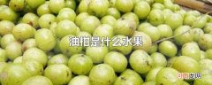 油柑是什么水果