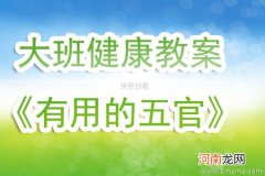 附教学反思 大班健康活动教案：有用的五官教案