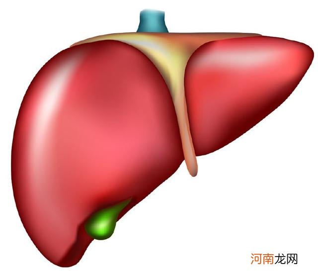 9大表现是肝出现问题