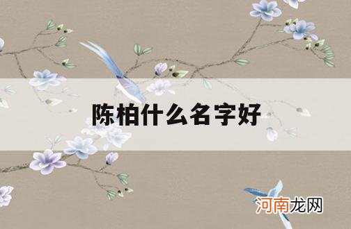 陈柏什么名字好_陈柏开头的男孩名字