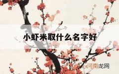 小虾米取什么名字好_虾米 小名