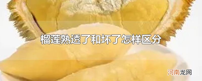 榴莲熟透了和坏了怎样区分