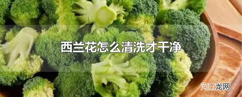 西兰花怎么清洗才干净