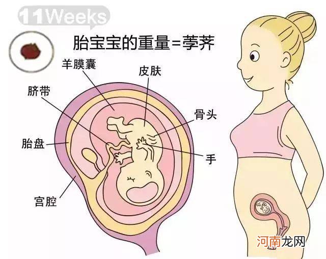 胎儿体重怎么计算