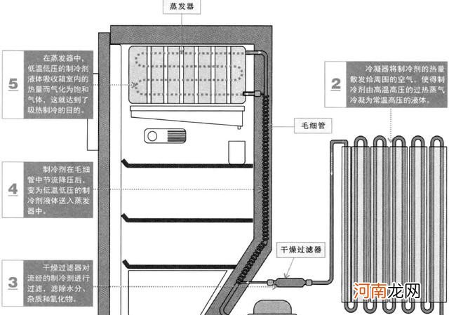 玉米最好吃的4种做法 玉米粒的做法大全家常