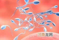 是什么害了男人的精子