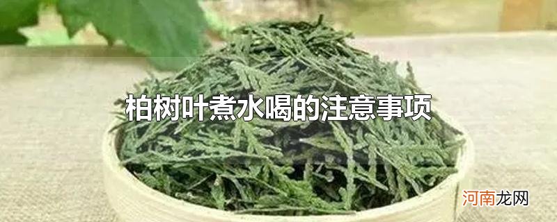 柏树叶煮水喝的注意事项