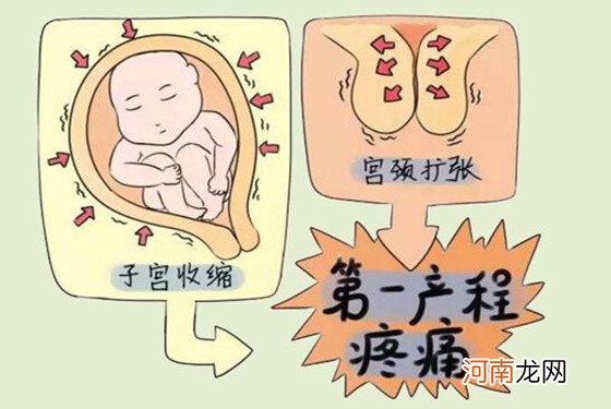 胎儿娩出的七个步骤 宝宝发动到生出的全过程