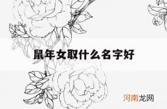 鼠年女取什么名字好_鼠年起什么名字好女孩