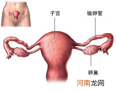 输卵管炎症可导致不孕