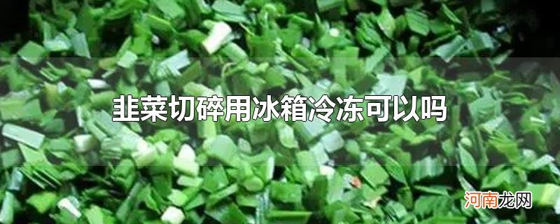 韭菜切碎用冰箱冷冻可以吗