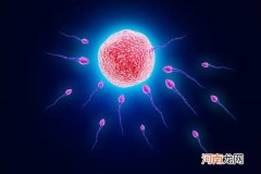 精卵结合8个症状 这些症状暗示你已经成功受孕了