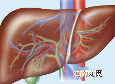 硬化肝怎么治疗