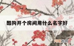 酷狗开个房间用什么名字好_酷狗听歌房怎么开