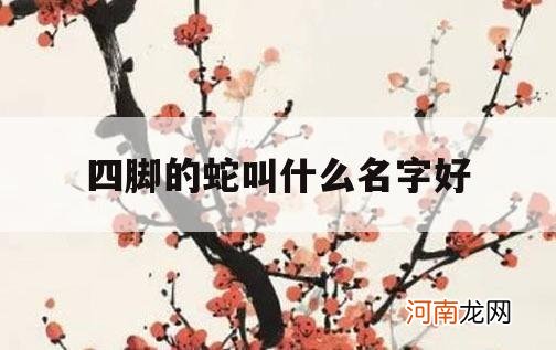 四脚的蛇叫什么名字好_四脚蛇是什么样