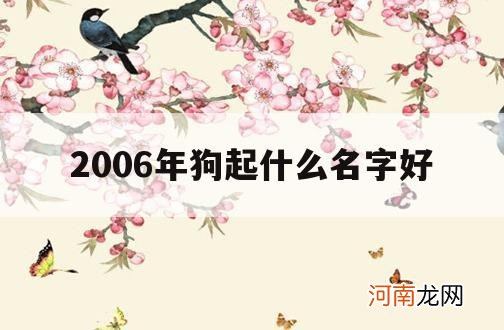 2006年狗起什么名字好_2006年狗宝宝起名字