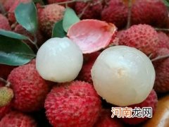 孩子多吃荔枝 当心得“荔枝病”