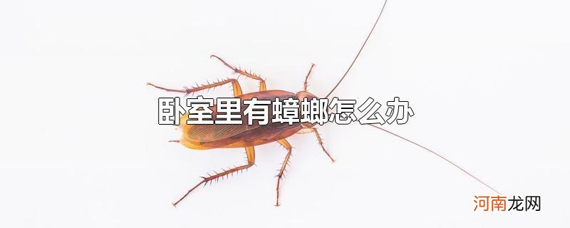 卧室里有蟑螂怎么办