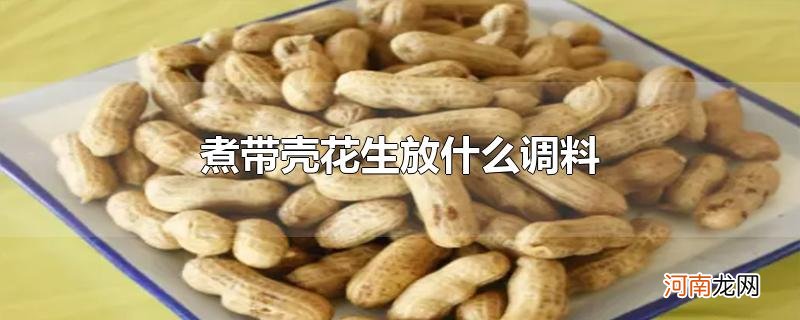 煮带壳花生放什么调料