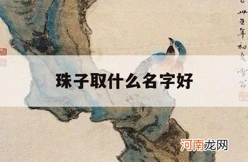 珠子取什么名字好_珠宝取什么名字好