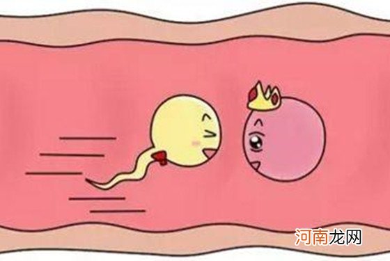 排卵日同房为何不孕 那是因为你忽略了这些