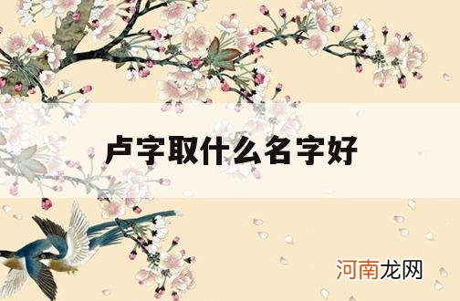 卢字取什么名字好_姓卢的取什么名字好