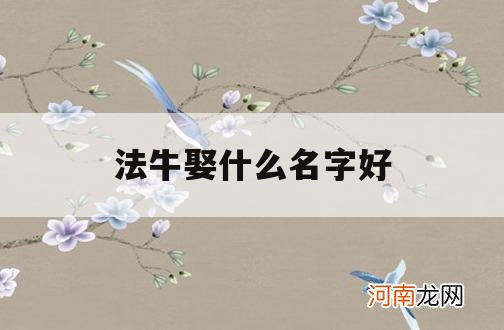 法牛娶什么名字好_法牛起个什么名字好听