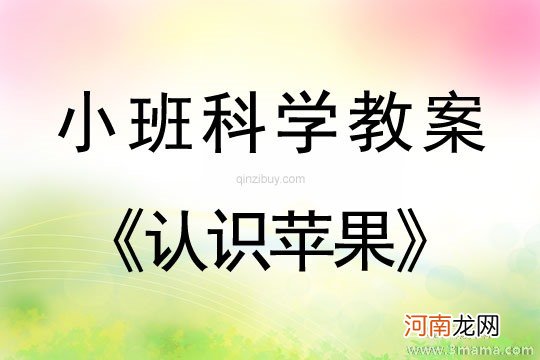 小班科学认识上午和下午教案反思