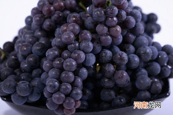 葡萄是酸性还是碱性 不能依据食物口感的味道来判断