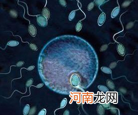 精子不液化的原因 可断绝精子的输送